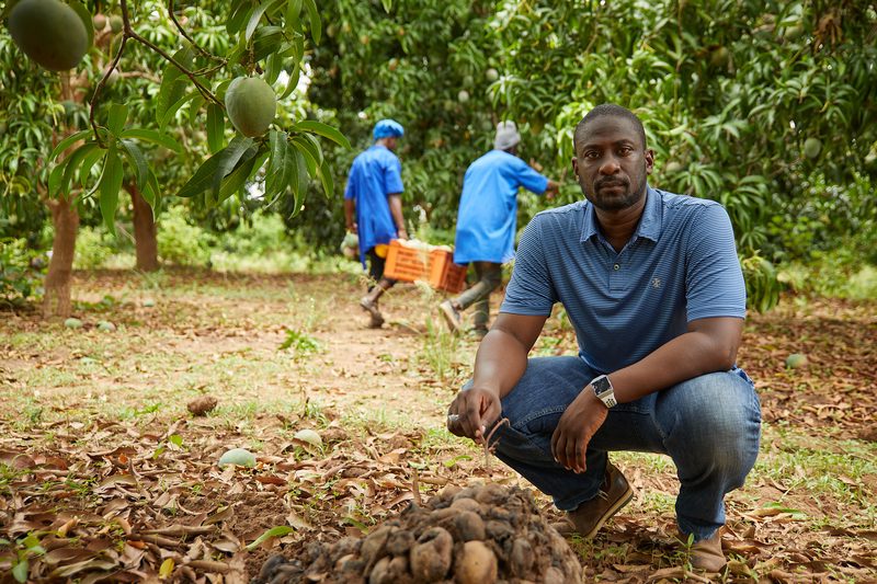 Ali Diaby & Fils Agro (ADF)