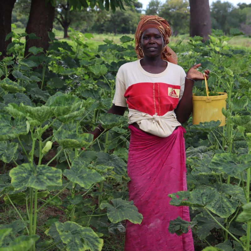 Une cultivatrice debout dans sa parcelle