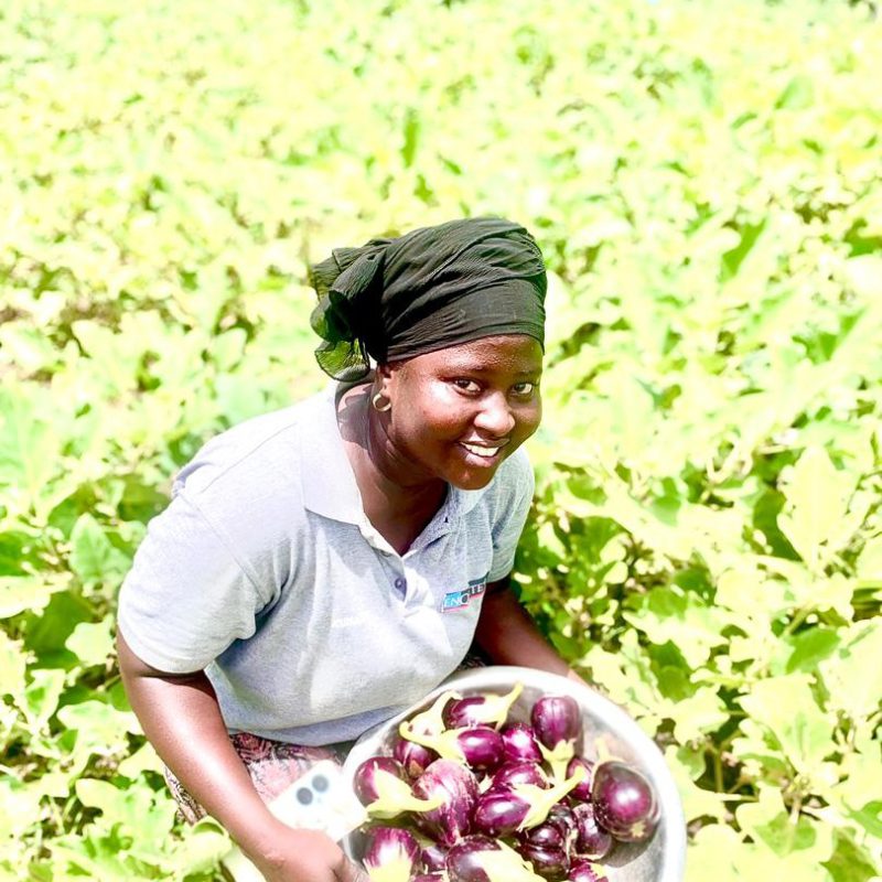 Une productrice présentant sa récolte de légumes