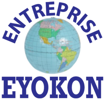 Logo de Entreprise Eyokon