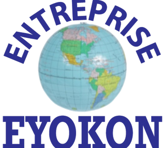 Logo de Entreprise Eyokon