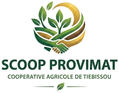 Logo de Provimat