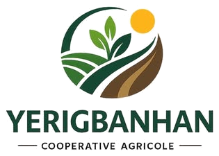 Logo de APLIFLY COOP-CA YERIGBANHAN