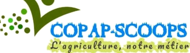 Logo de COPAP SCOOP