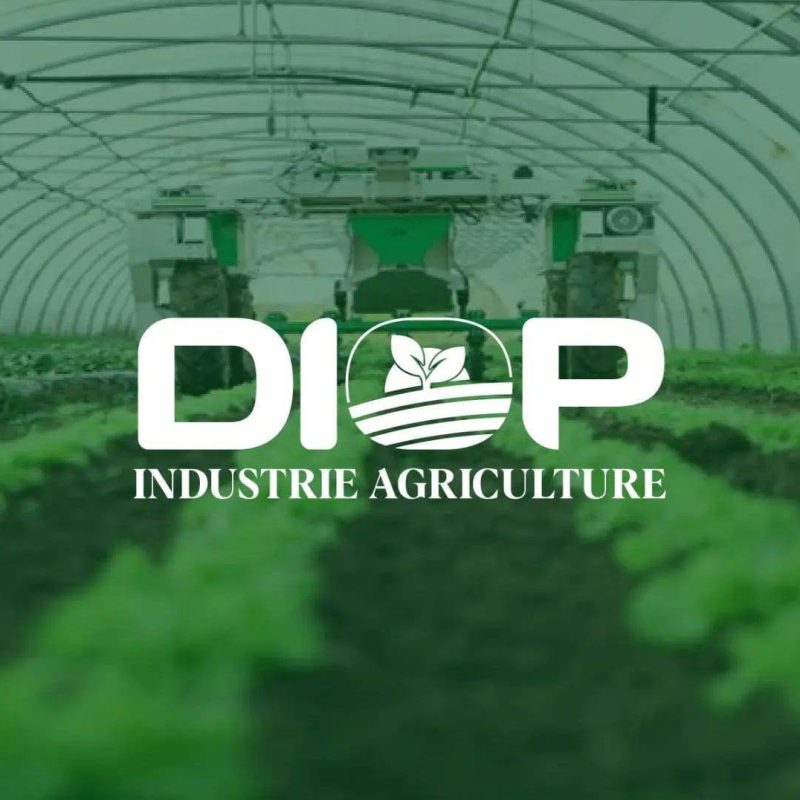 Portrait du promoteur de Diop Agrobusiness