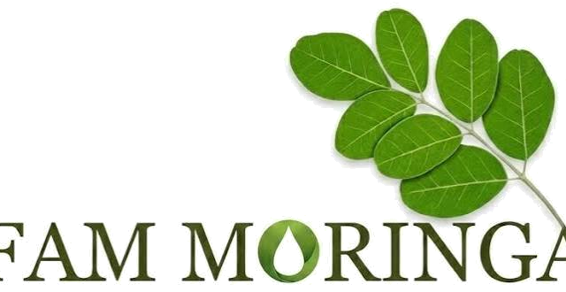 Logo de FAM MORINGA