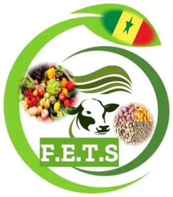 Logo de FERME DE L’ÉMERGENCE