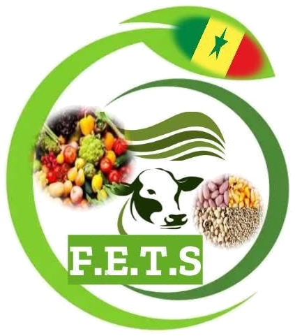 Logo de FERME DE L’ÉMERGENCE