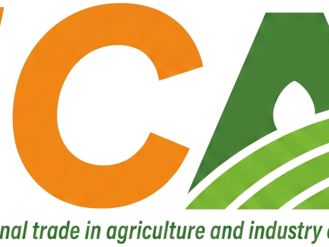 Logo de ICA