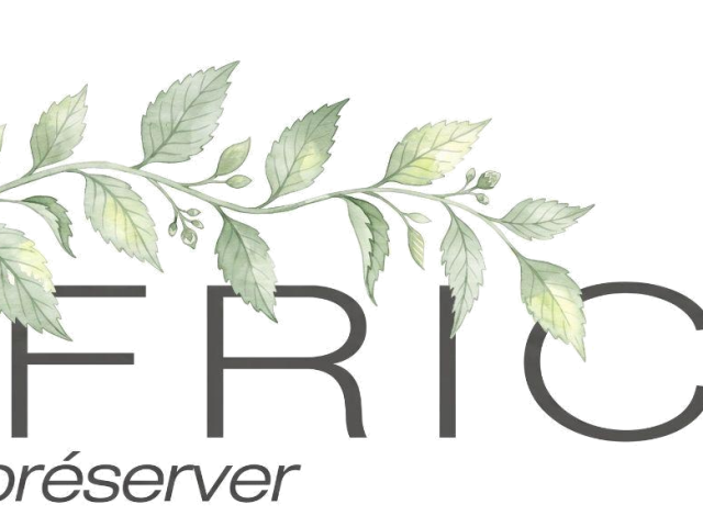 Logo de Nafrica