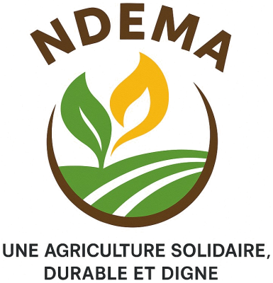 Logo de NDEMA