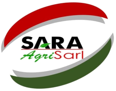Logo de SARA SARL