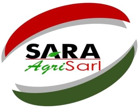 Logo de SARA SARL