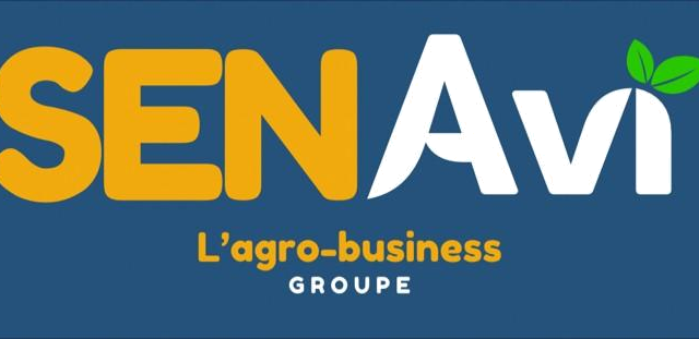 Logo de SENAVI