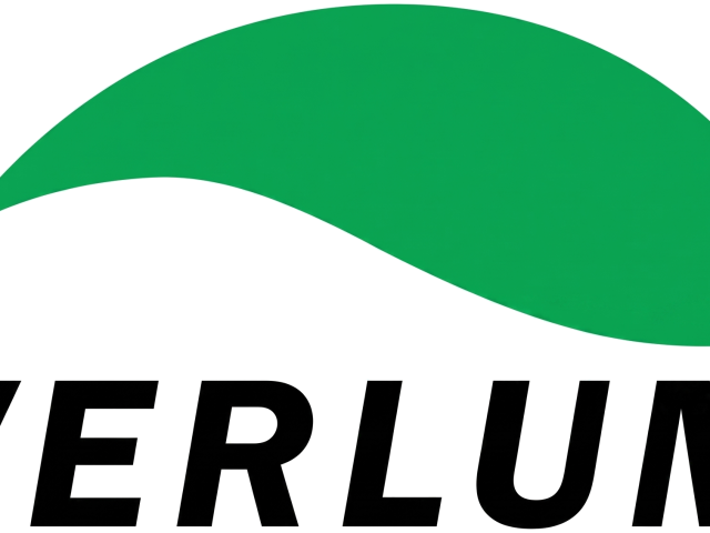 Logo de Verlum SA