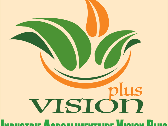 Logo de VISION PLUS