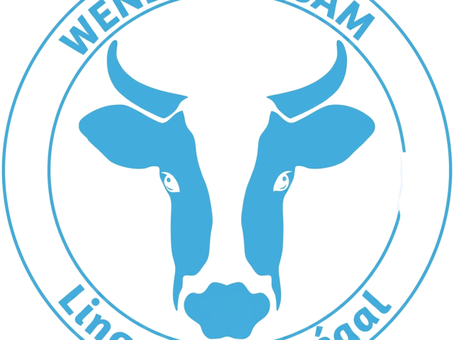 Logo de WENDOU KOSAM